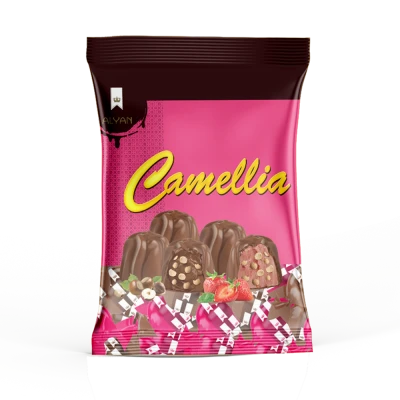 Camellia Fındık & Çilek Aromalı Krema Dolgulu Pirinç Patlaklı Sütlü Kokolin 500gr*8(YASTIK POŞET